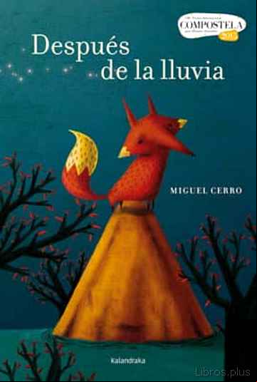 Descargar gratis ebook DESPUES DE LA LLUVIA (PREMIO COMPOSTELA 2015) en epub