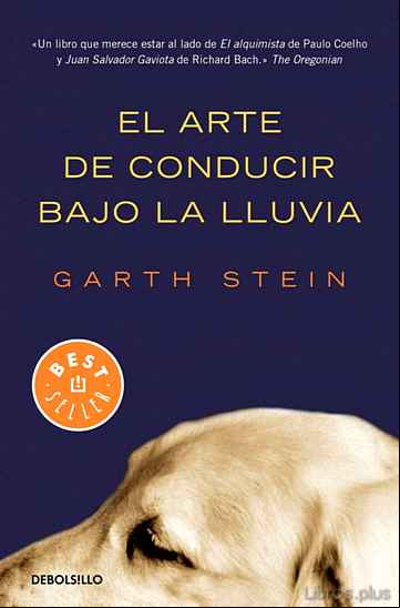 Descargar gratis ebook EL ARTE DE CONDUCIR BAJO LA LLUVIA en epub