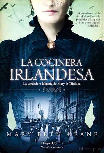 Descargar gratis ebook LA COCINERA IRLANDESA en epub