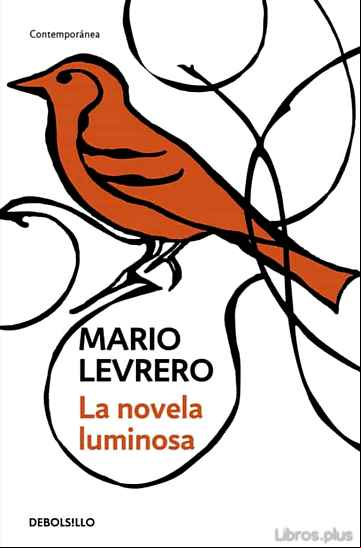 Descargar gratis ebook LA NOVELA LUMINOSA en epub