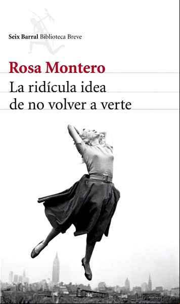 Descargar gratis ebook LA RIDICULA IDEA DE NO VOLVER A VERTE en epub